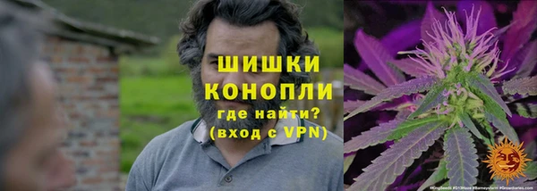 соль ск Михайлов