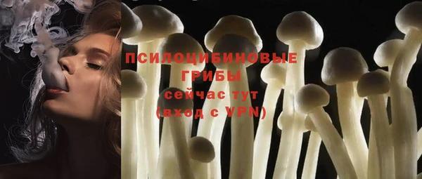 соль ск Михайлов