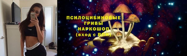 гидропоника Михайловка