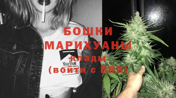 соль ск Михайлов