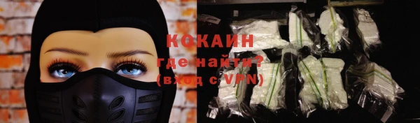 соль ск Михайлов