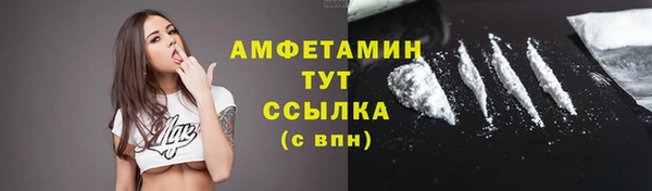 стафф Михайловск