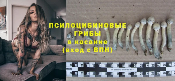 гидропоника Михайловка
