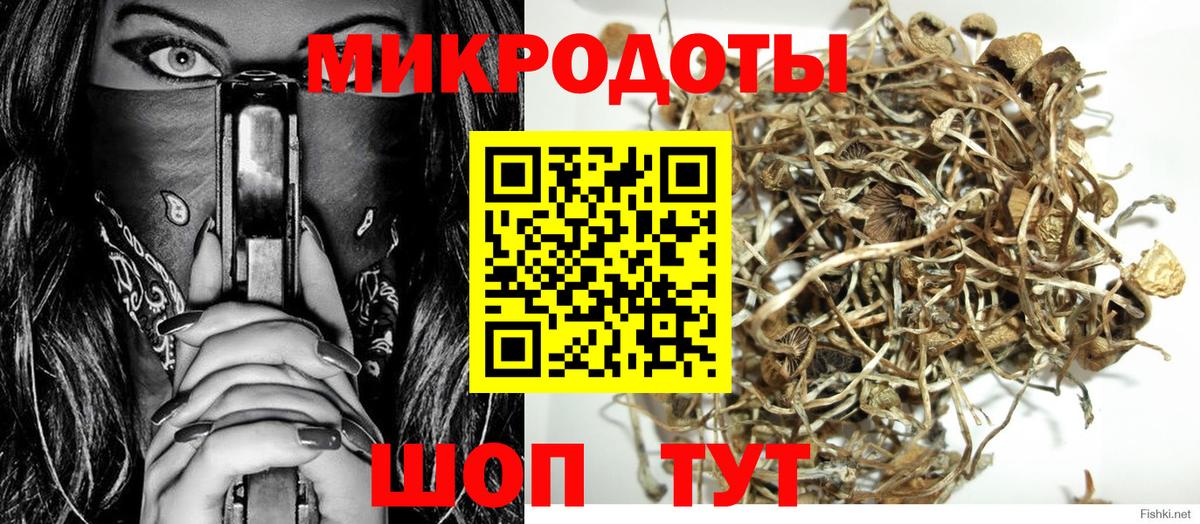Псилоцибиновые грибы GOLDEN TEACHER Янаул